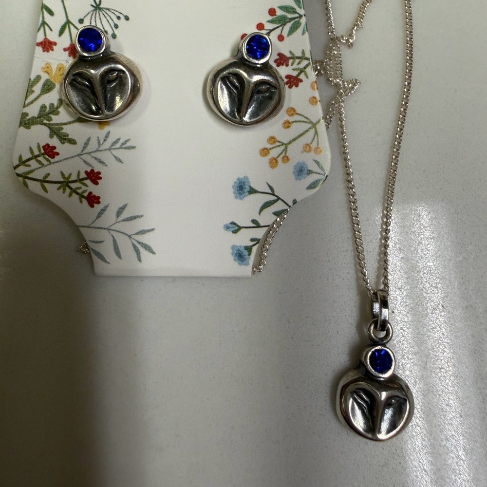 925 sterling owl blue crystal pendant Necklace and Stud Earrings Set